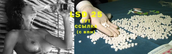 эйфоретик Сясьстрой