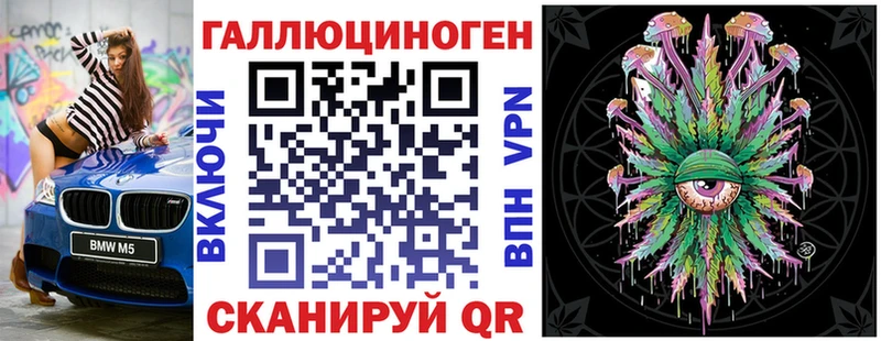 Галлюциногенные грибы Psilocybe  Лесной 